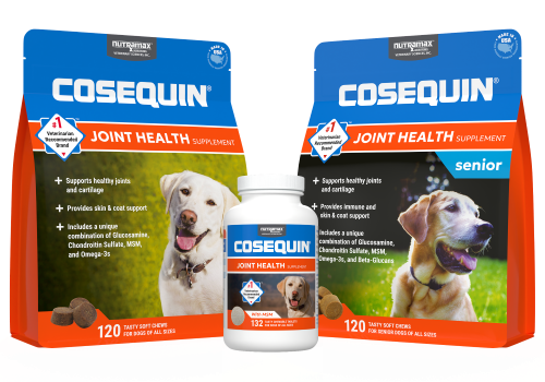 Cosequin® Joint Health Supplement for Dogs